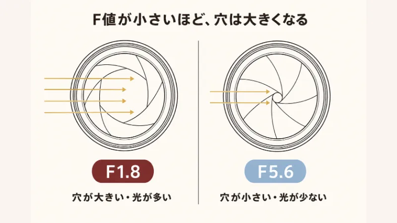 F1.8とF5.6の絞り比較