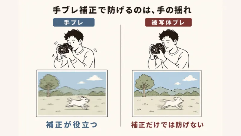 手ブレと被写体ブレの違い